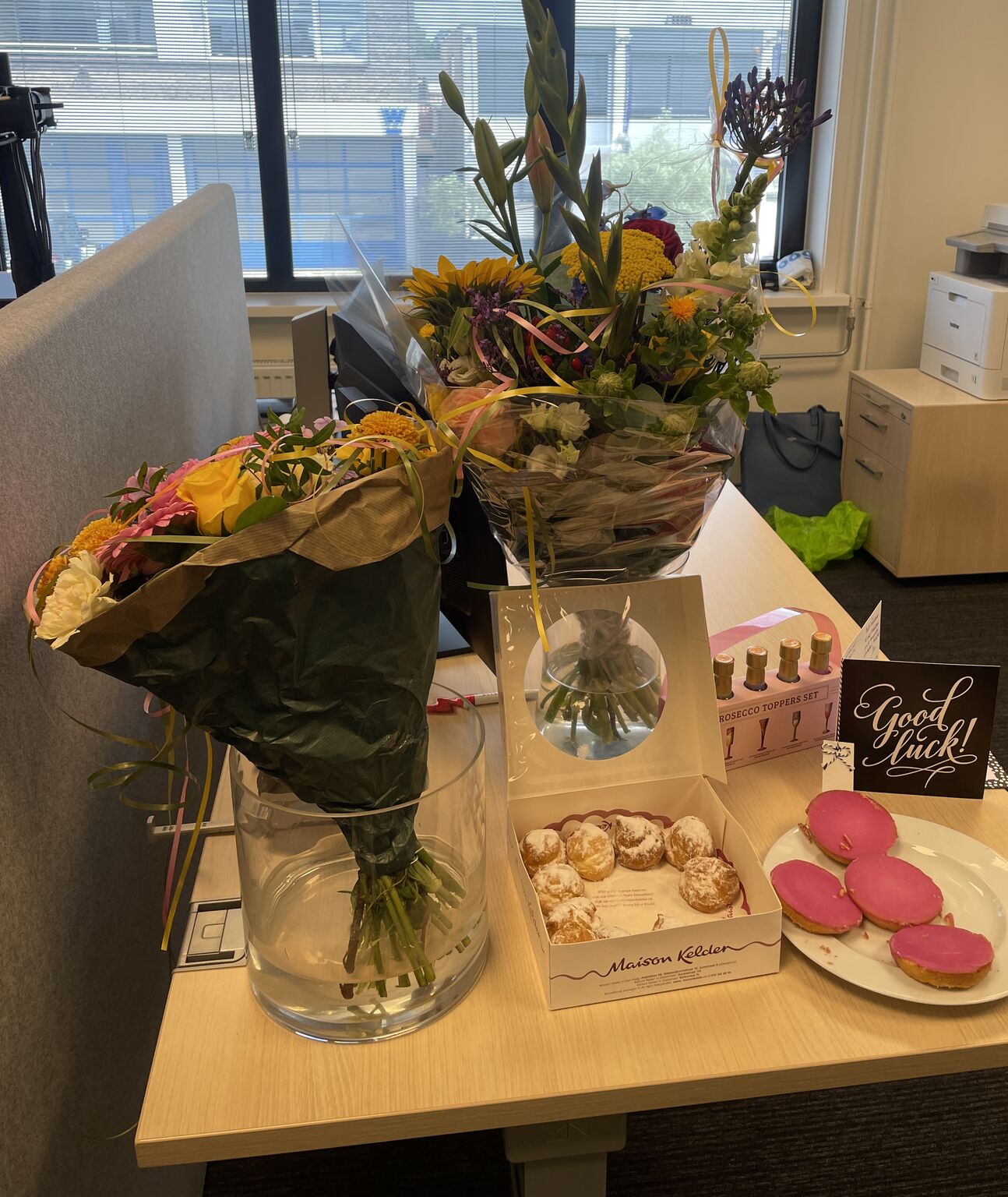 Anouk Office & Management Support